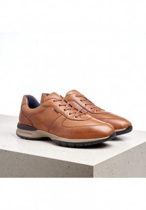 LLOYD ABERDEEN Joggesko Brune | SHO034259