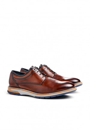 LLOYD DERO Smart shoes Brune | MWG231649