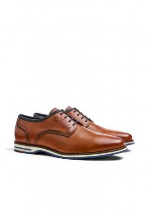 LLOYD DETROIT Smart shoes Brune | YNM745932