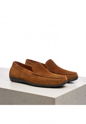 LLOYD EMILIO Slip On Brune | VTS305169