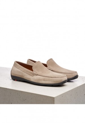 LLOYD EMILIO Slip On Grå | FBE643928