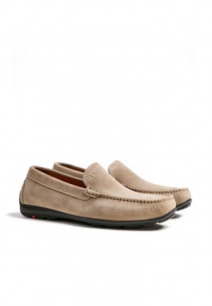 LLOYD EMILIO Slip On Grå | QCY458690