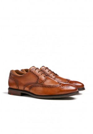 LLOYD MARIAN Smart shoes Brune | NAQ531706