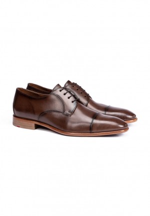 LLOYD NEWPORT Smart shoes Brune | VBG618094