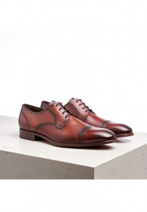 LLOYD PERRY Smart shoes Brune | YIE706392