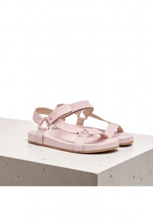 LLOYD SANDALE Sandaler Rosa | SAO924836