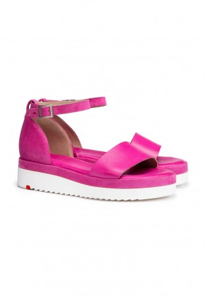 LLOYD SANDALS Sandaler Rosa | HKA486057