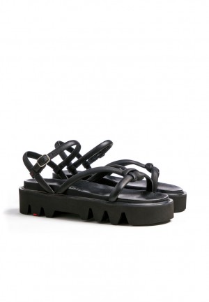 LLOYD SANDALS Sandaler Svarte | ILR253174