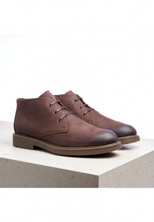 LLOYD SKAL Smart shoes Brune | UYR028674