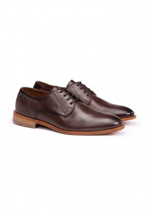 LLOYD TERRY Smart shoes Brune | XGW054369