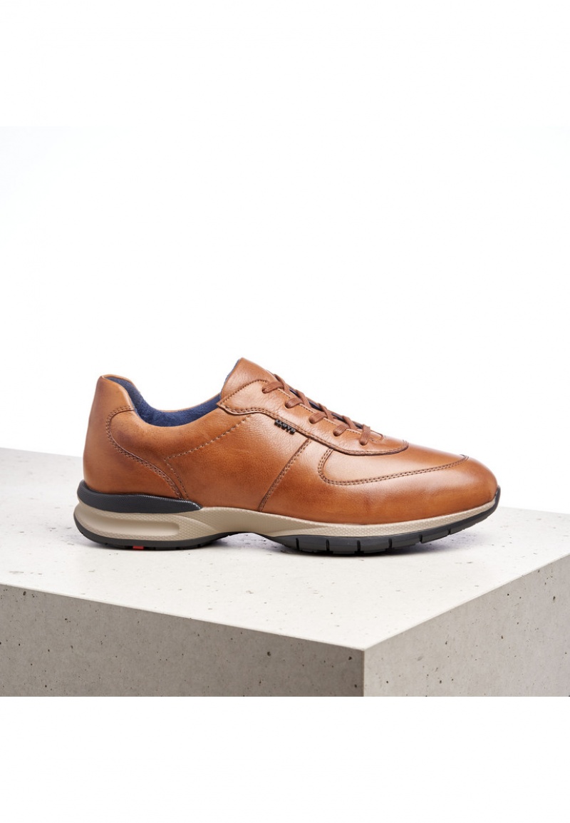 LLOYD ABERDEEN Joggesko Brune | SHO034259