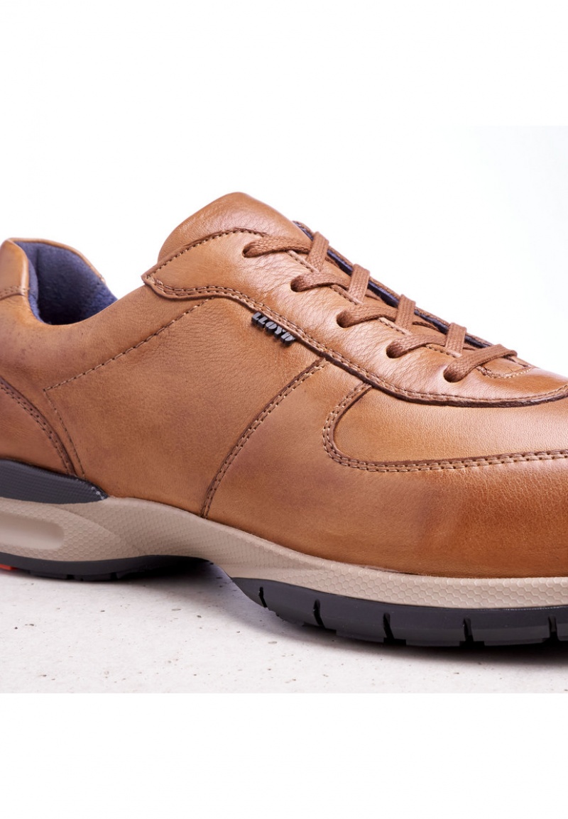 LLOYD ABERDEEN Joggesko Brune | SHO034259