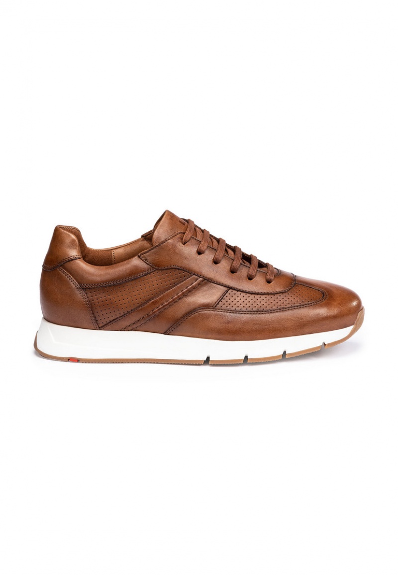 LLOYD ADLAY Joggesko Brune | ZHB028415