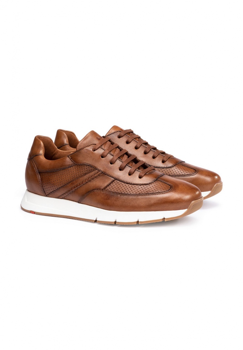 LLOYD ADLAY Joggesko Brune | ZHB028415