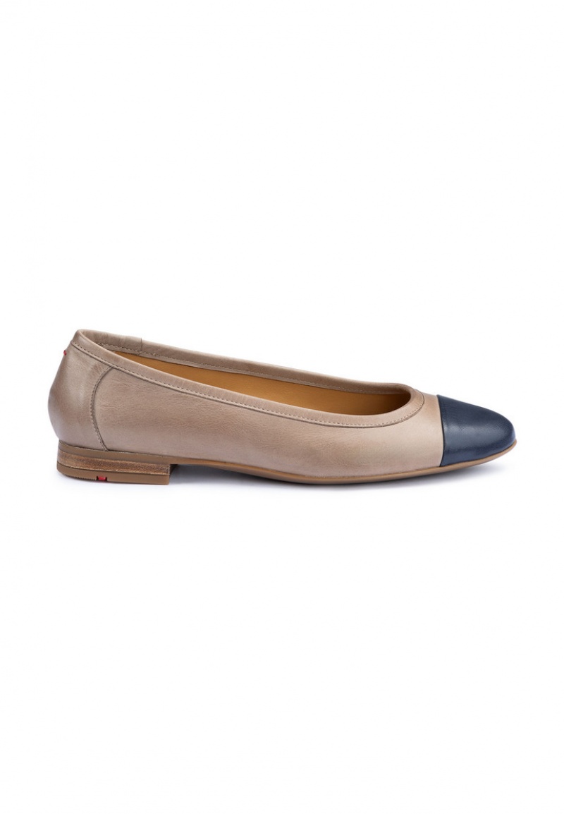 LLOYD BALLERINA Ballerinasko Brune | LPV578409