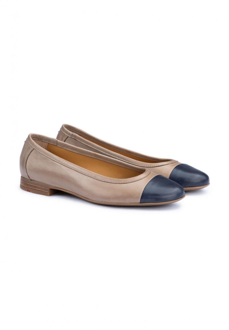 LLOYD BALLERINA Ballerinasko Brune | LPV578409