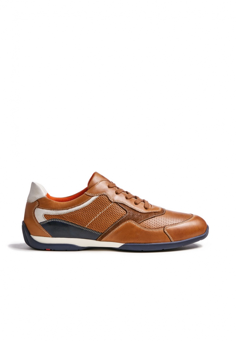 LLOYD BALTIMORE Joggesko Brune | UAC716490