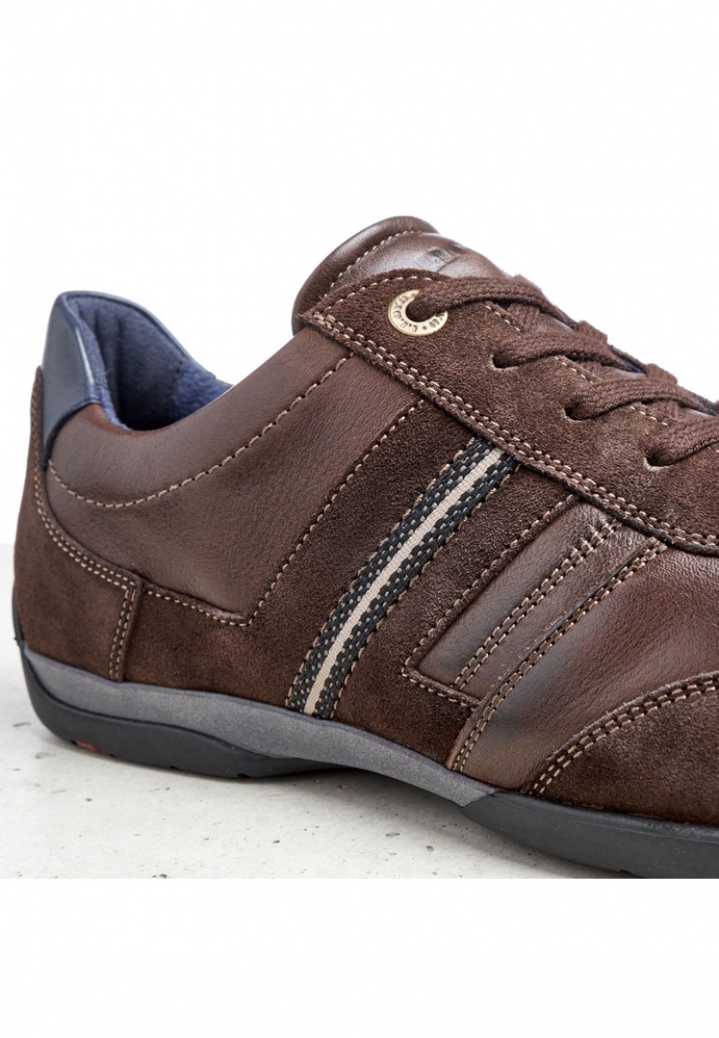 LLOYD BARBADOS Joggesko Brune | ZFR709238