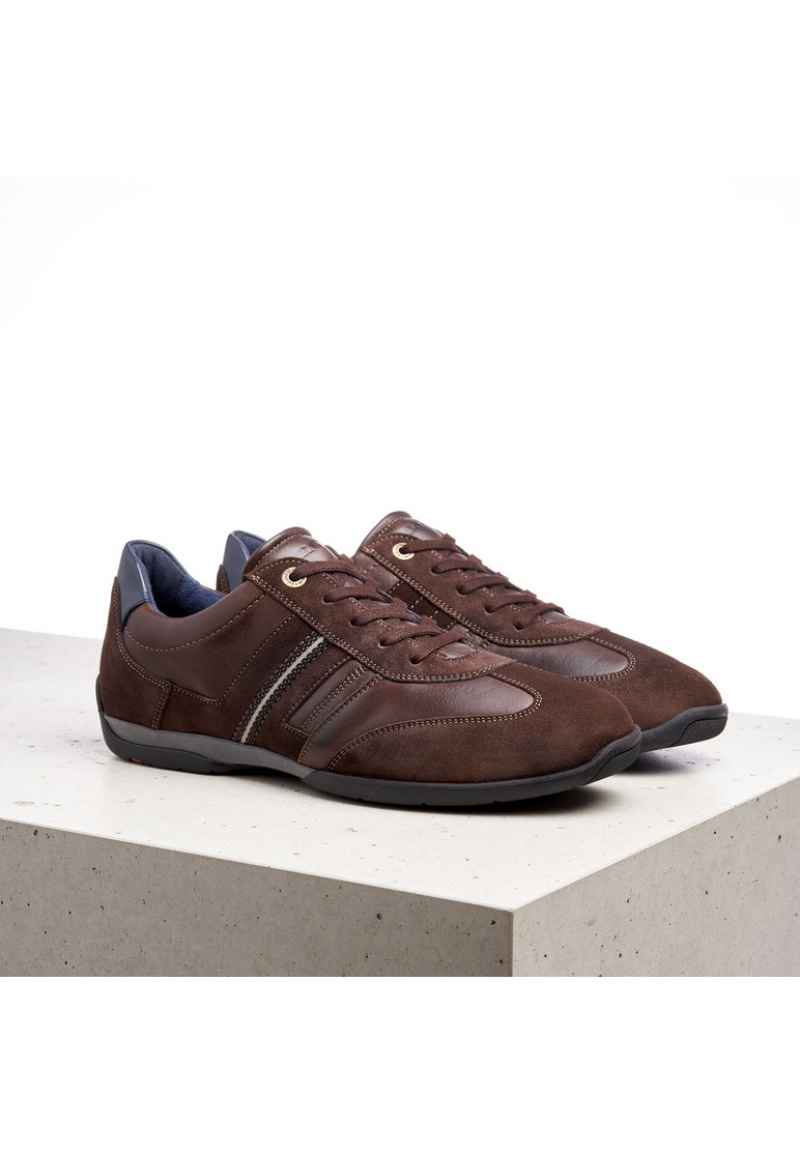 LLOYD BARBADOS Joggesko Brune | ZFR709238