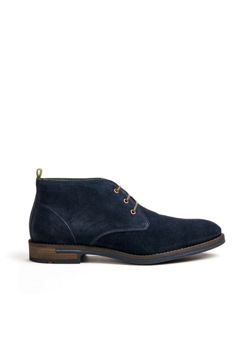 LLOYD DARTMOOR Smart shoes Blå | EJH067198