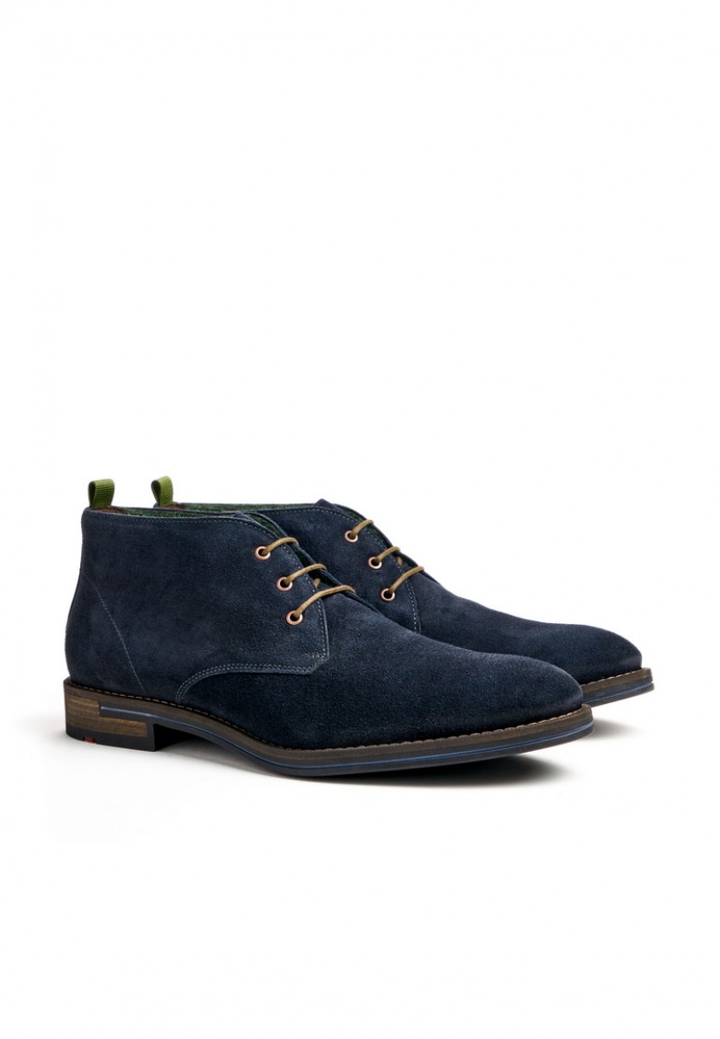 LLOYD DARTMOOR Smart shoes Blå | EJH067198