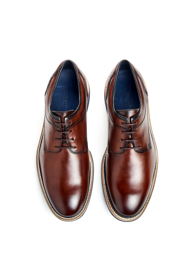 LLOYD DERO Smart shoes Brune | MWG231649