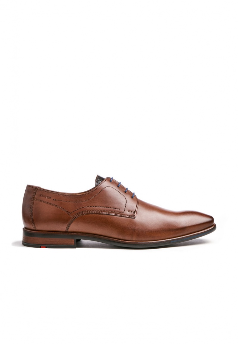 LLOYD DON Smart shoes Brune | JKS253978