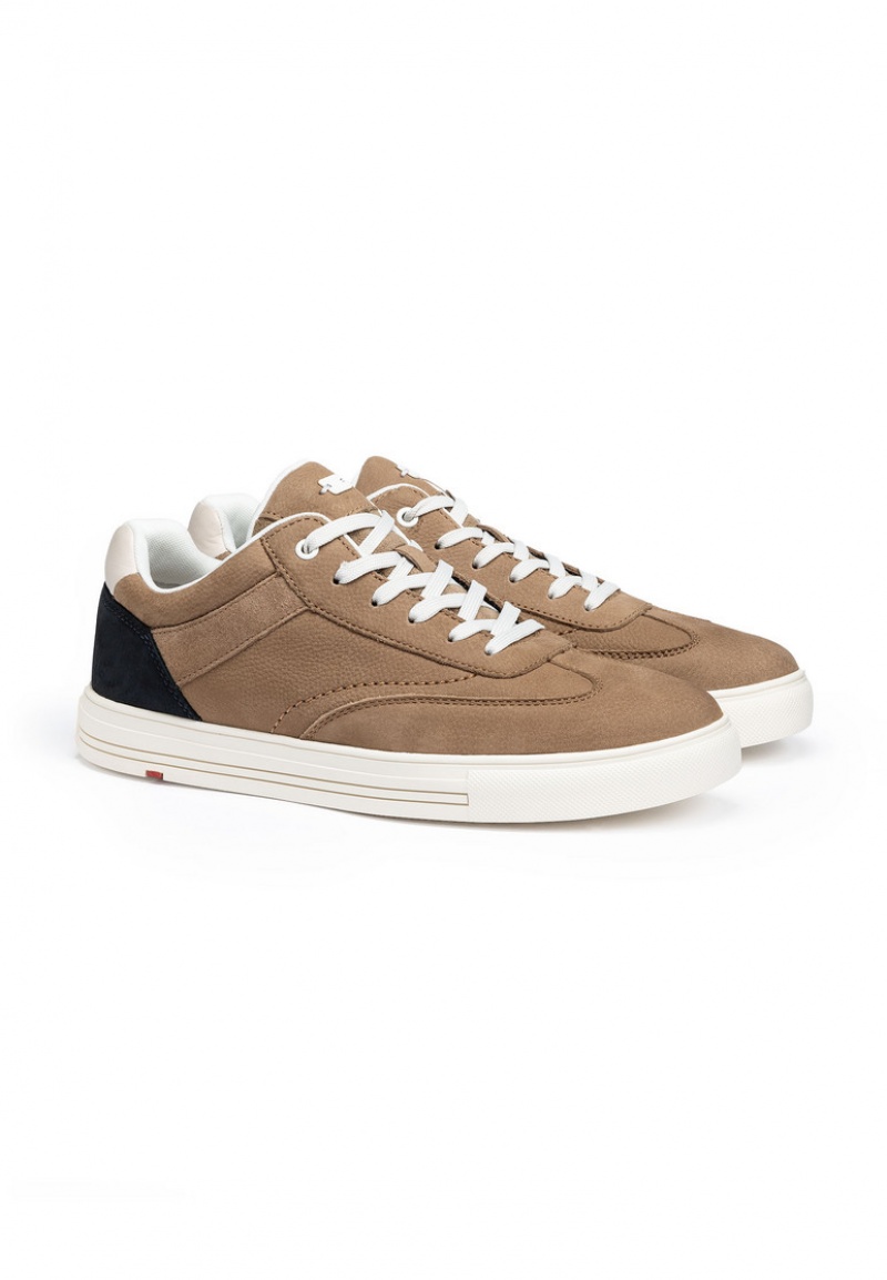 LLOYD EDIK Joggesko Beige | TUE048362