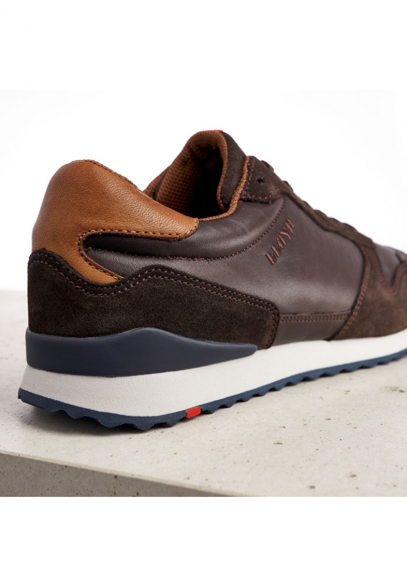 LLOYD EDMOND Joggesko Brune | TAM029786