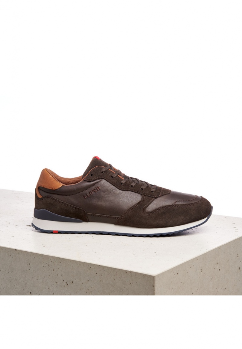 LLOYD EDMOND Joggesko Brune | TAM029786