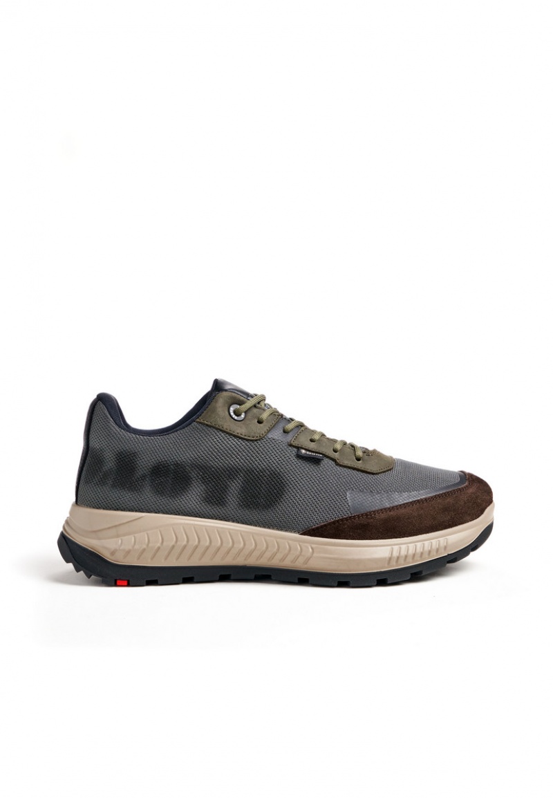 LLOYD ELBA Joggesko Brune | ORM502897