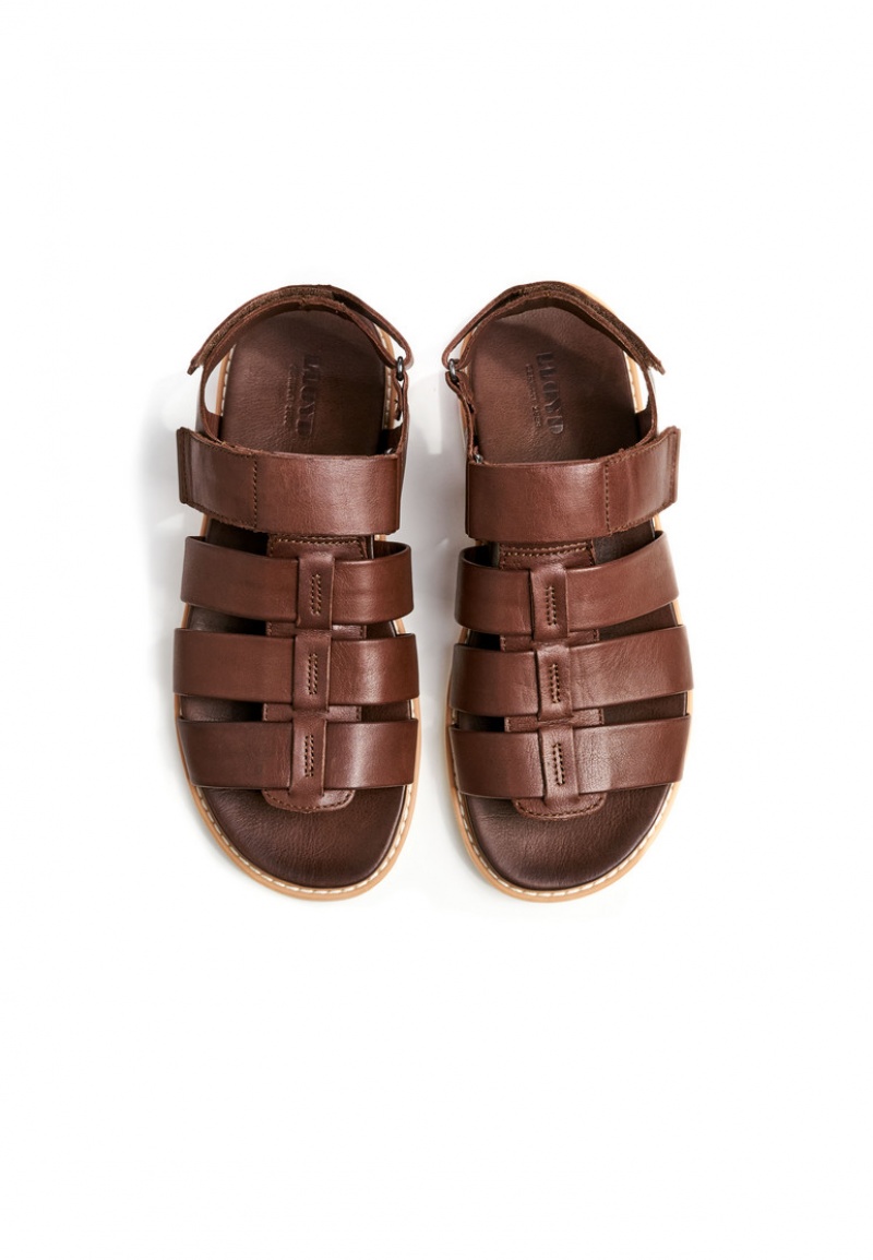 LLOYD ELIMAR Sandaler Brune | VLX710625