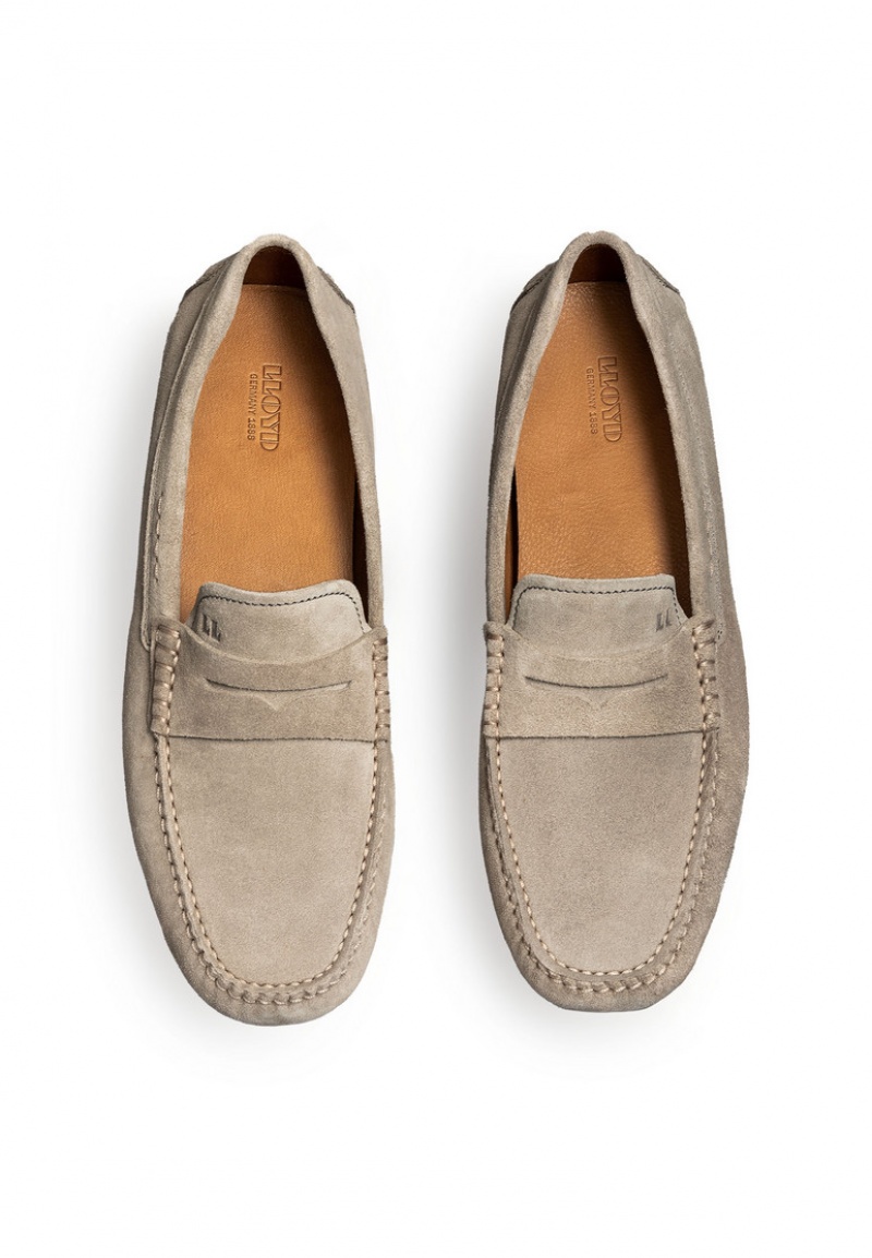 LLOYD ELJOS Slip On Grå | FYN405618