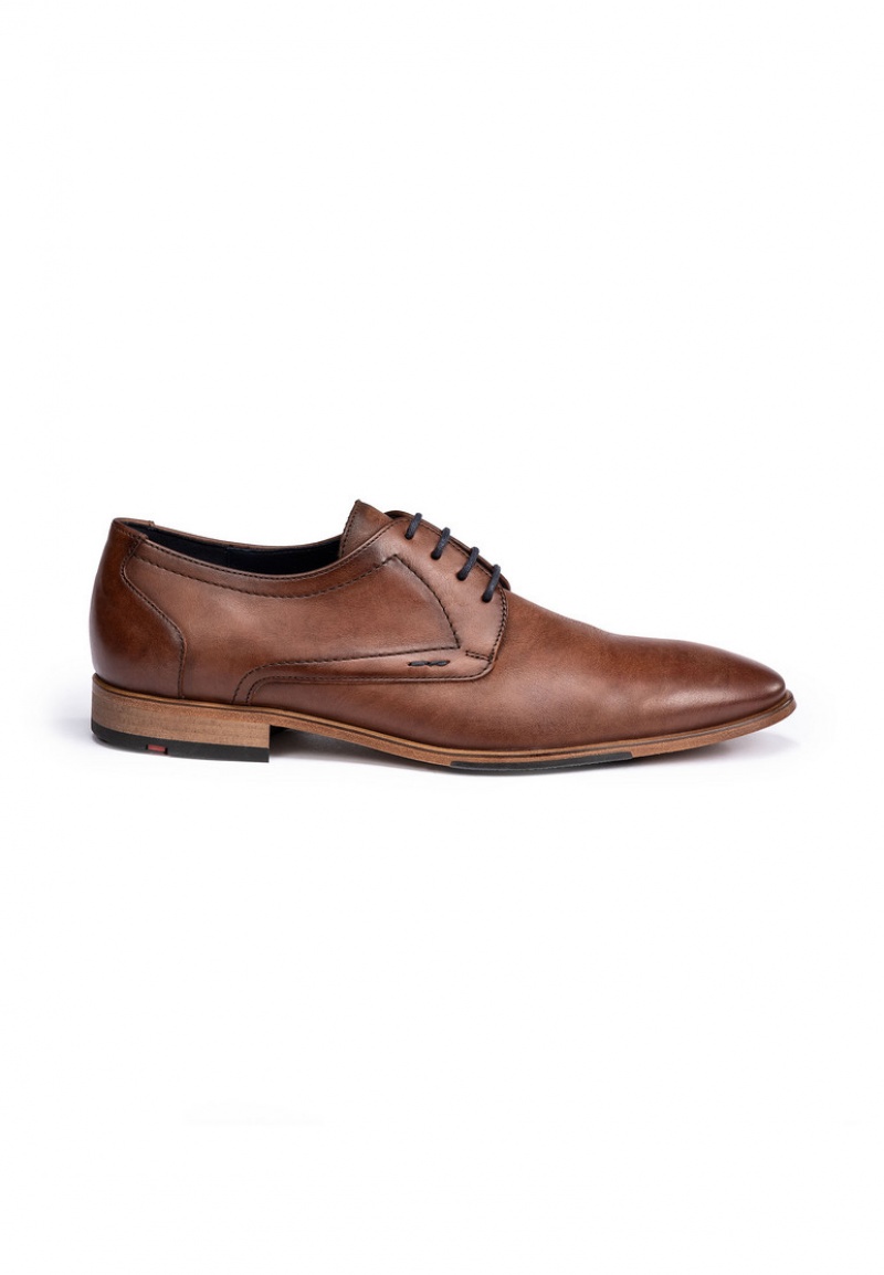 LLOYD GABRIEL Smart shoes Brune | CNL641803