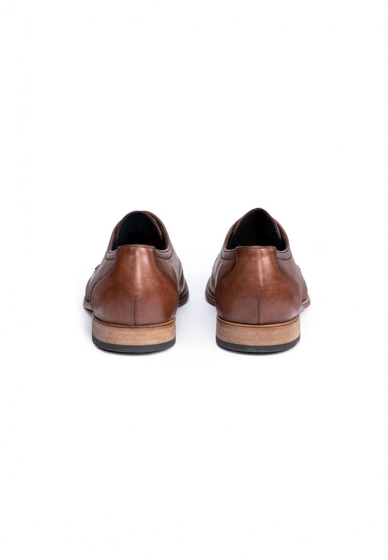 LLOYD GABRIEL Smart shoes Brune | CNL641803