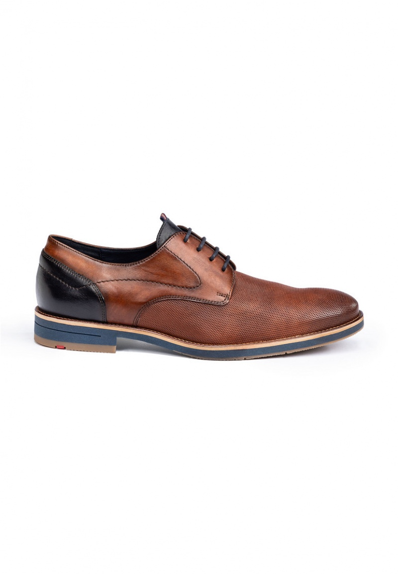 LLOYD HARRIS Smart shoes Brune | HGI835196