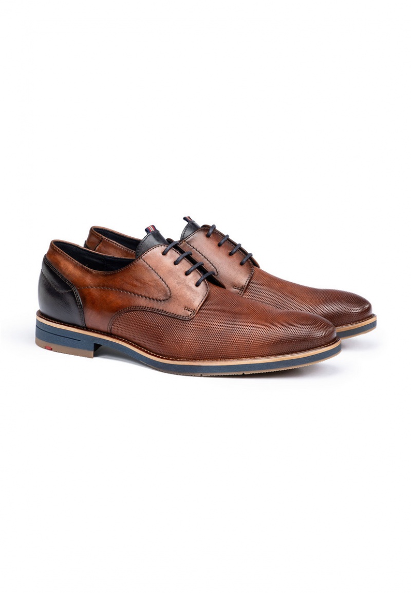 LLOYD HARRIS Smart shoes Brune | HGI835196