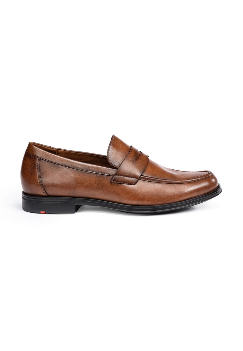 LLOYD KAIRO Smart shoes Brune | EUP789345