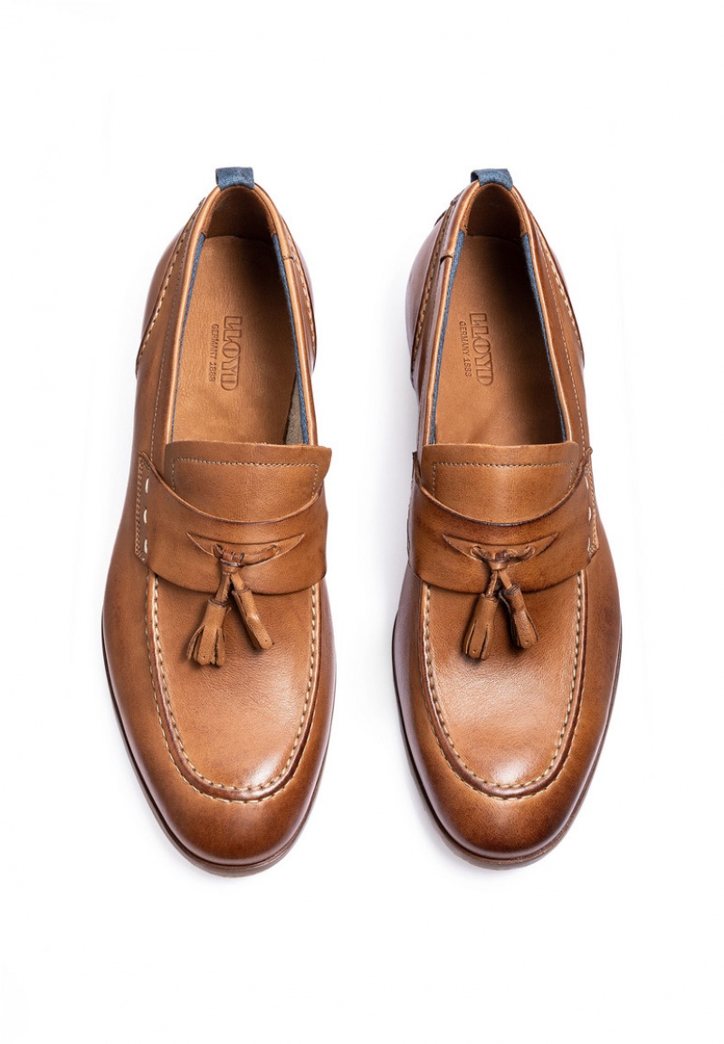 LLOYD LEANDRO Smart shoes Brune | APS897630