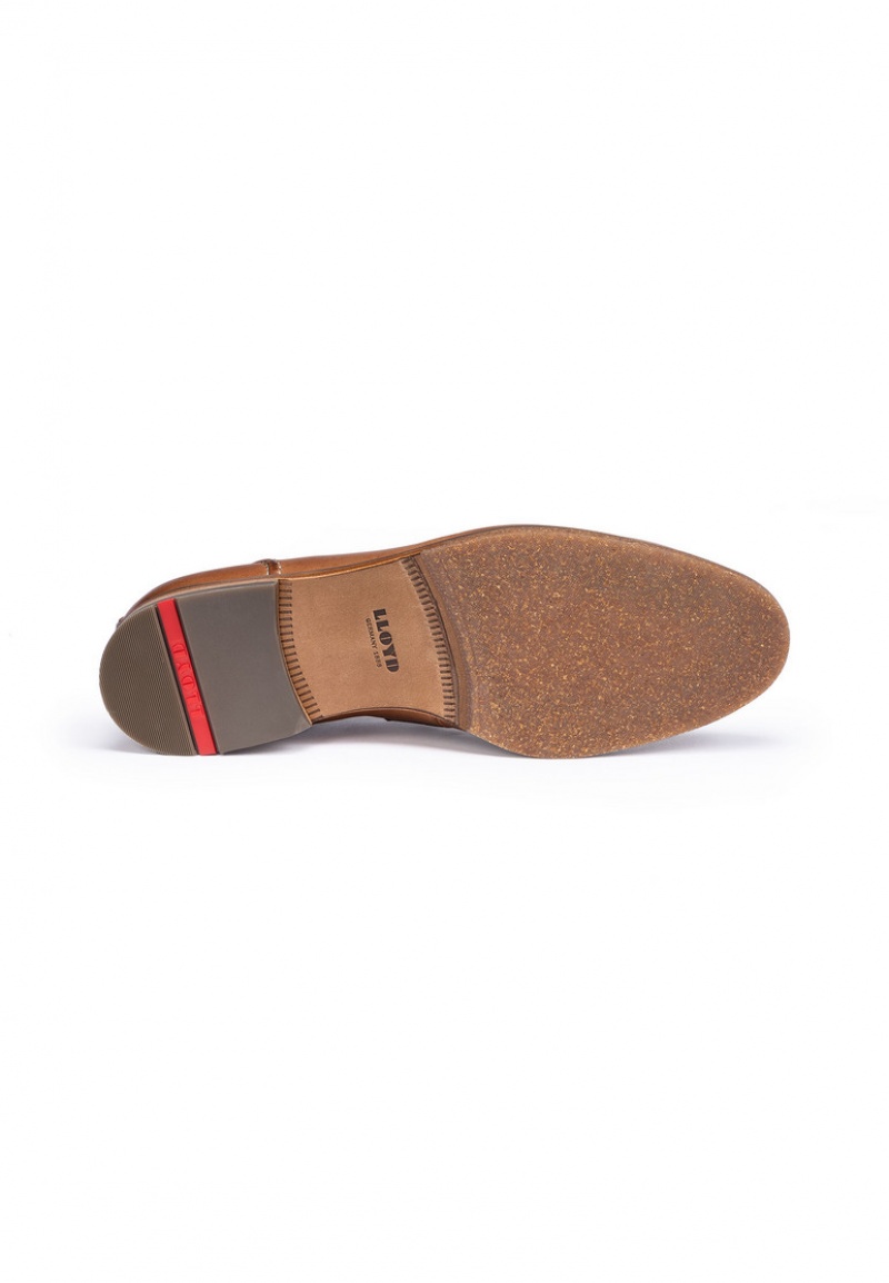 LLOYD LEANDRO Smart shoes Brune | APS897630