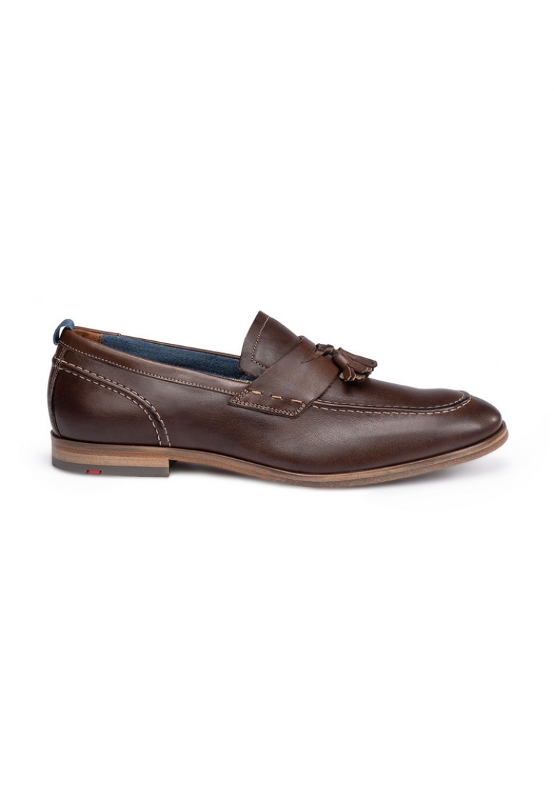 LLOYD LEANDRO Smart shoes Brune | JLA824693