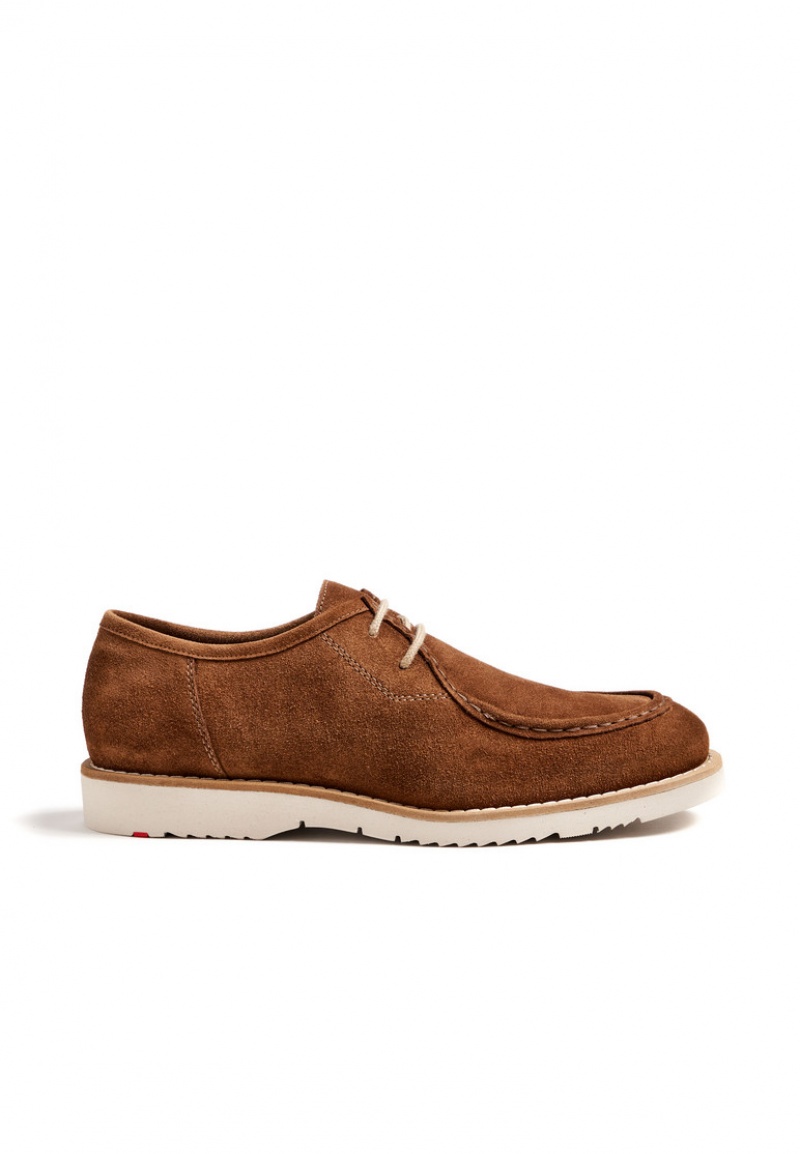 LLOYD LEVI Smart shoes Brune | GXO092518