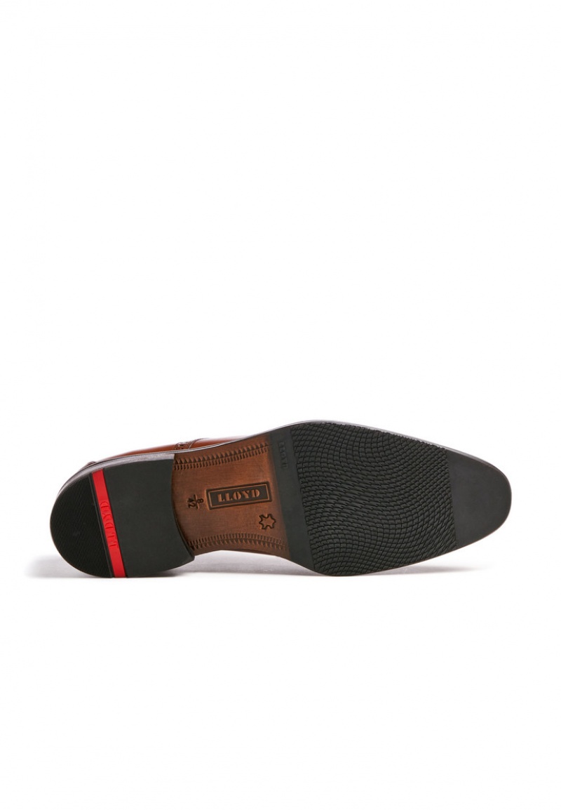 LLOYD LUCIEN Low shoes Brune | XWF450873