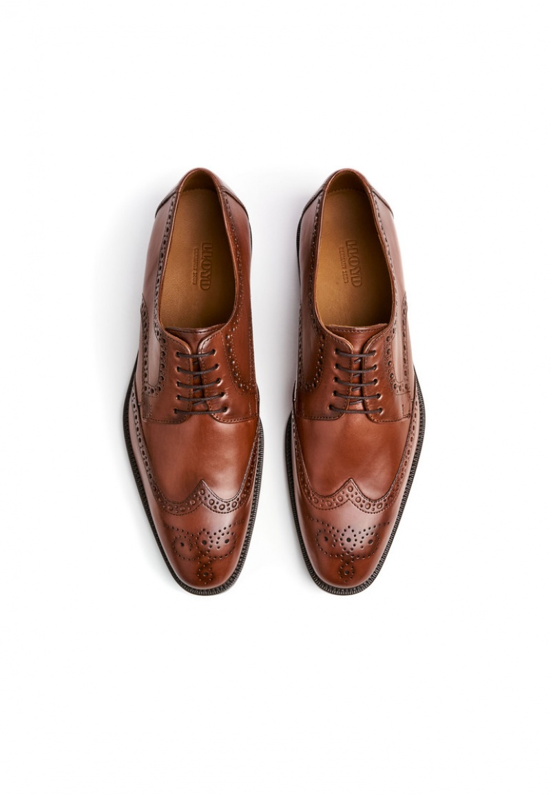 LLOYD LUCIEN Low shoes Brune | XWF450873