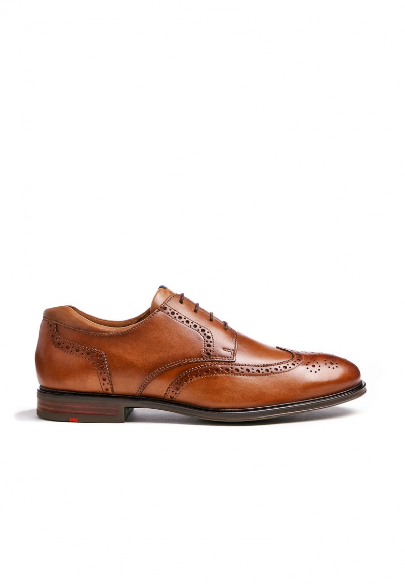 LLOYD MARIAN Smart shoes Brune | NAQ531706