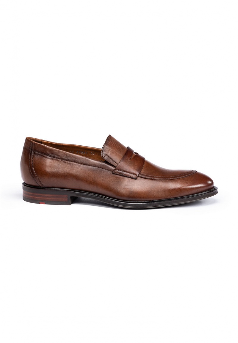 LLOYD MEDINA Smart shoes Brune | WJL678254