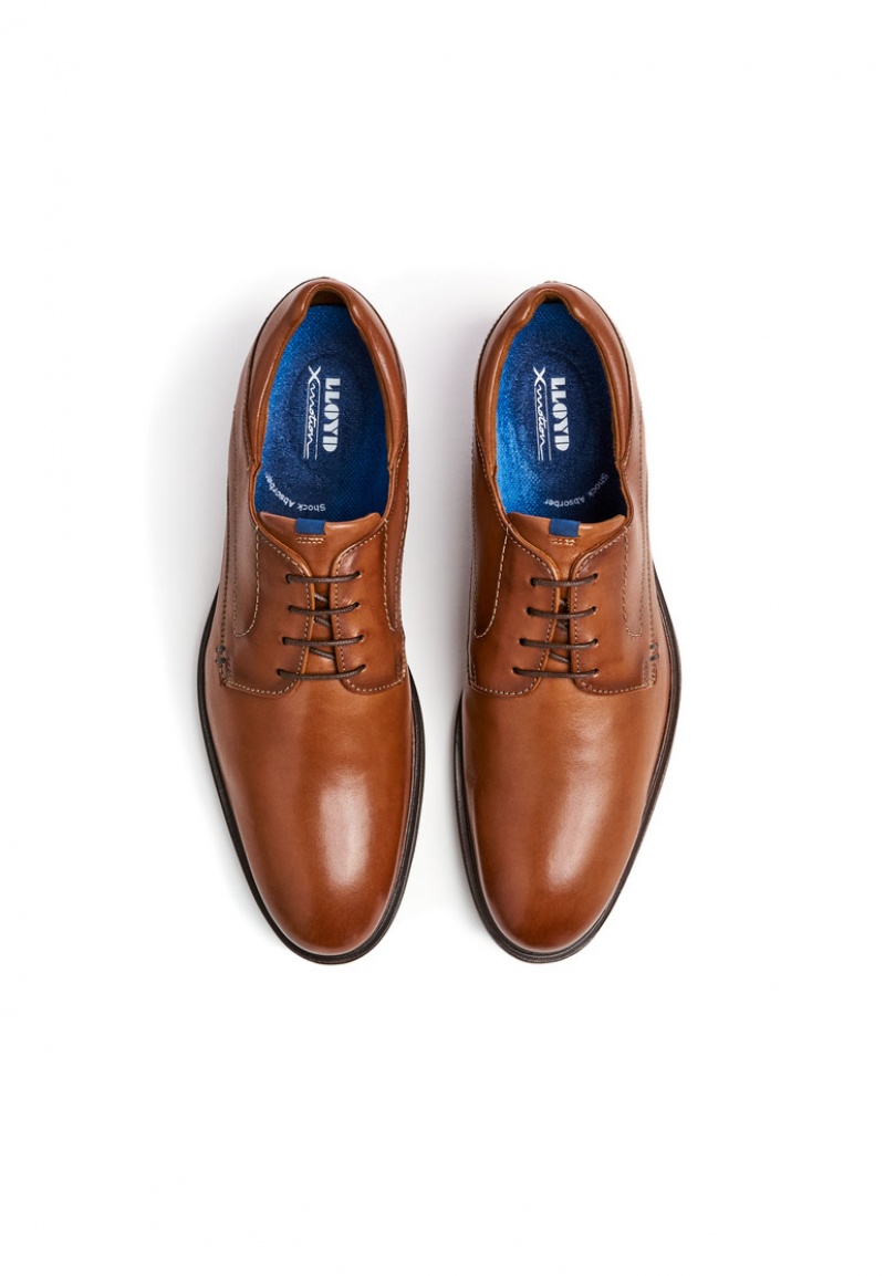 LLOYD MILAN Smart shoes Brune | SOC134680