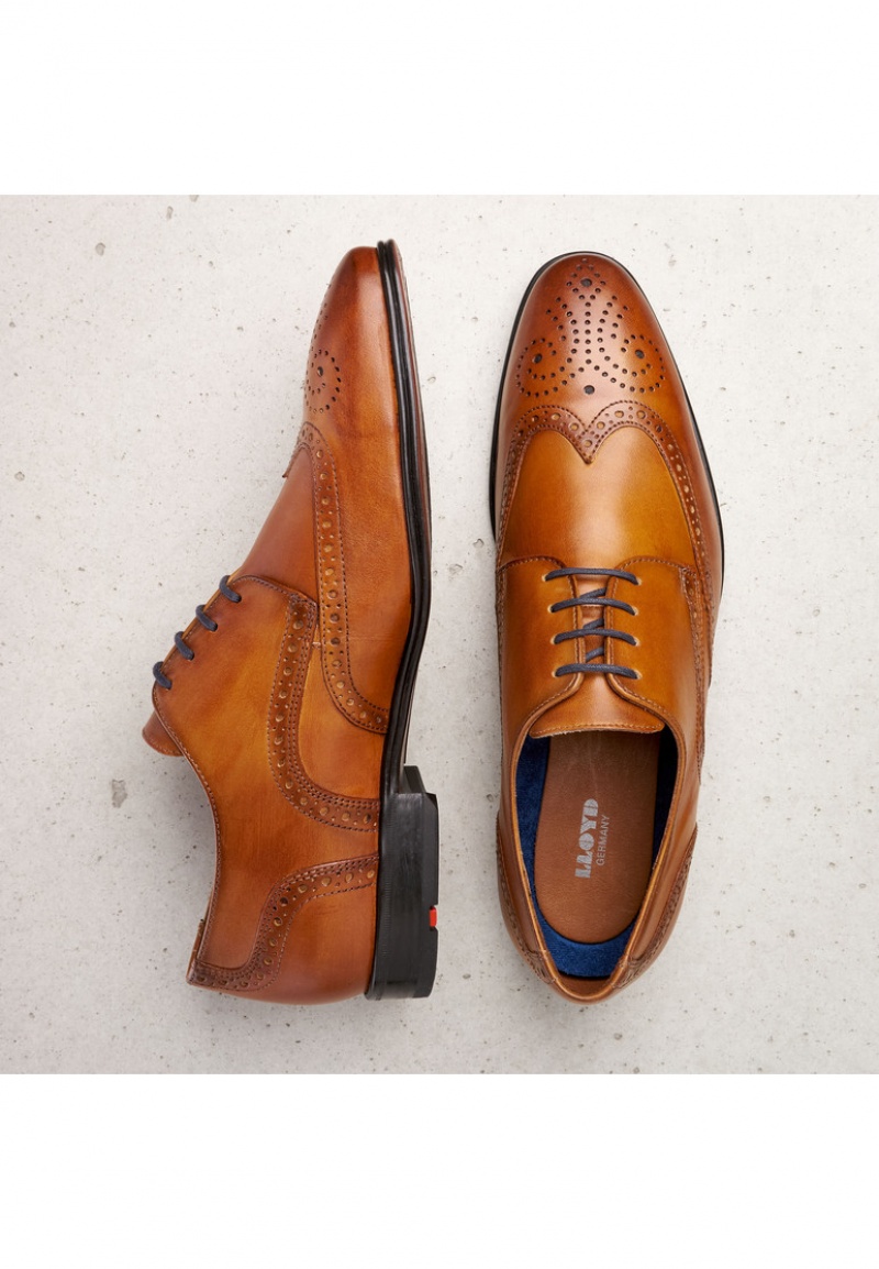 LLOYD MORTON Smart shoes Brune | KWL893175