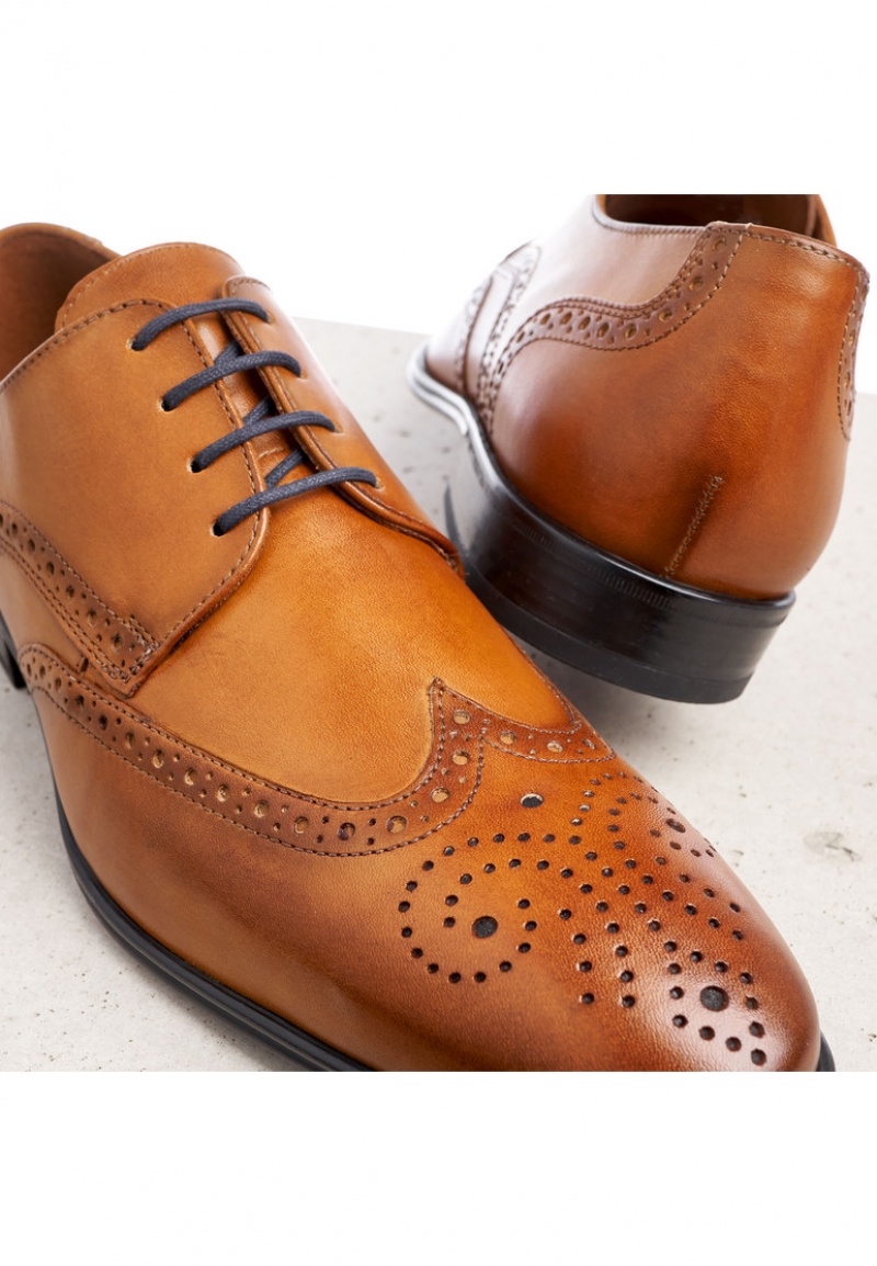 LLOYD MORTON Smart shoes Brune | KWL893175