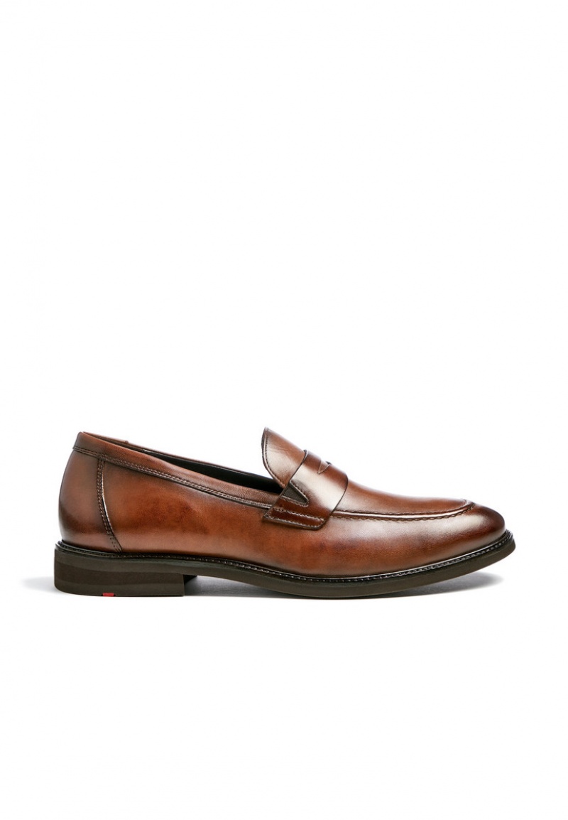 LLOYD REYNOLD Smart shoes Brune | ELO305761